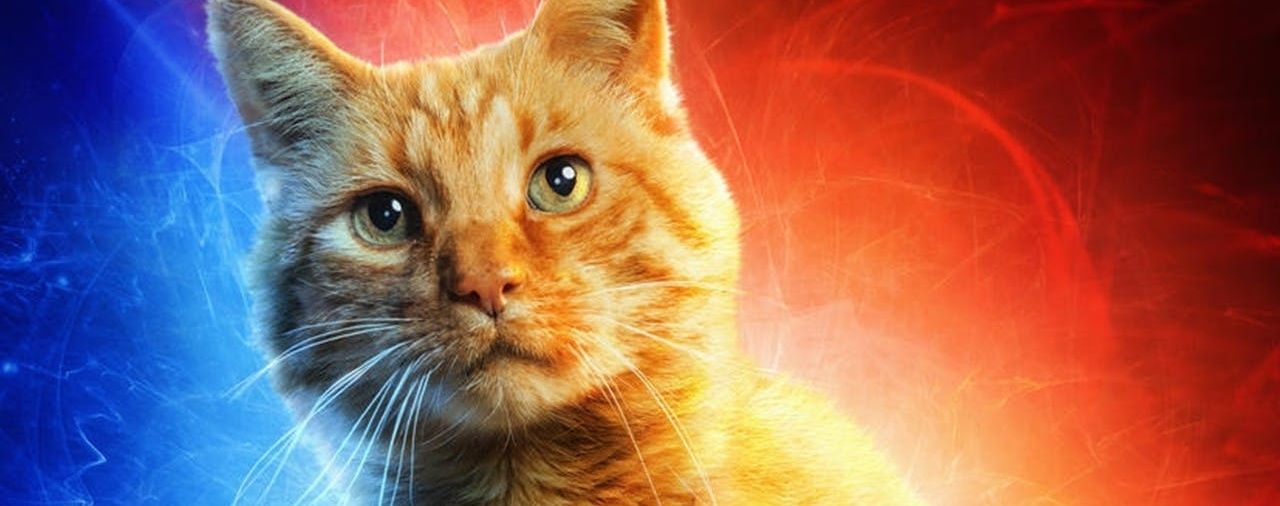 Marvel: una serie de Disney+ en preparación sobre el gato mutante de Capitana Marvel