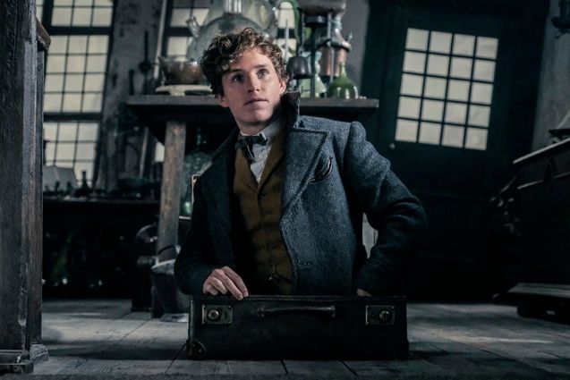 Animales Fantásticos: Los Crímenes de Grindelwald: foto, Eddie Redmayne