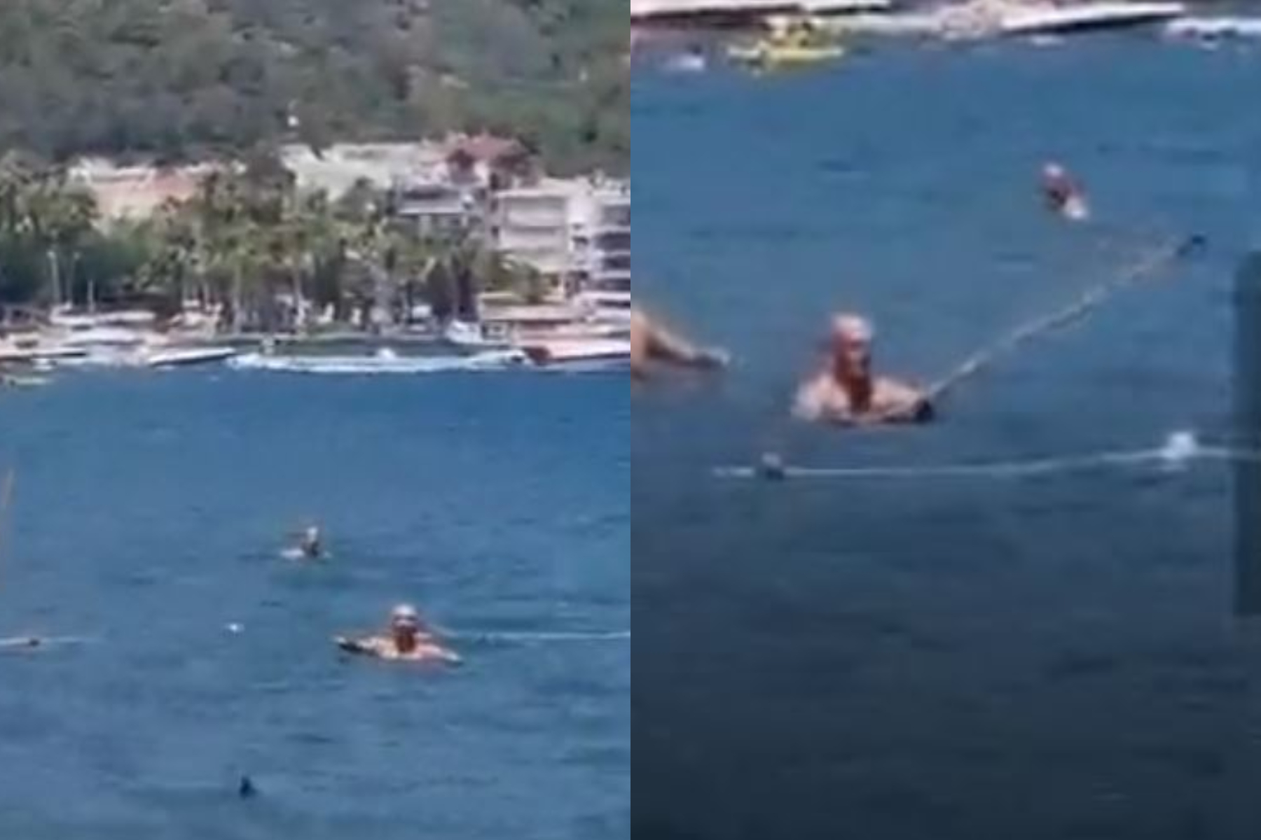 ACTUALIZACIÓN | Un giro en el caso del tiburón perseguido con una fregona en Turquía. Las autoridades aclaran lo que realmente ocurrió en el agua (VIDEO) ACTUALIZACIÓN | Un giro en el caso del tiburón perseguido con una fregona en Turquía. Las autoridades aclaran lo que realmente ocurrió en el agua (VIDEO)