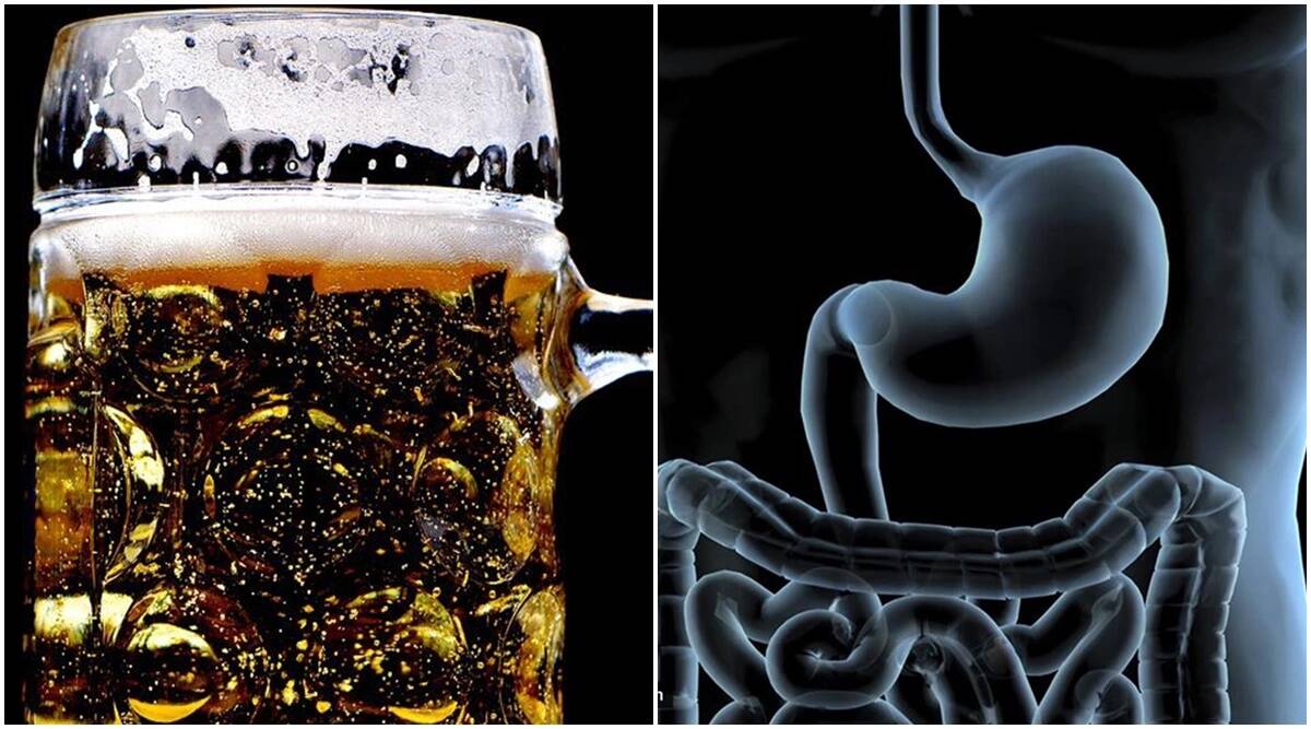 ¿Es la cerveza buena para la salud intestinal de los hombres y puede prevenir la diabetes? Los expertos responden