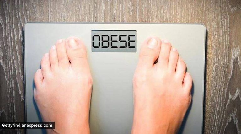 El número de personas desnutridas en India desciende a 224,3 millones; la obesidad entre los adultos aumenta: Informe de la ONU
