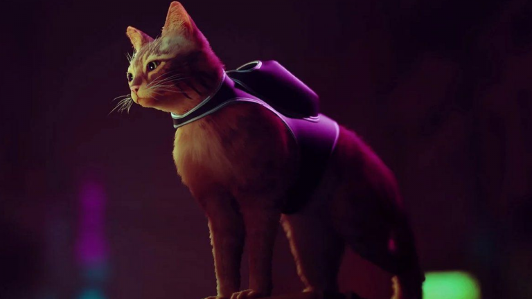 El juego de noticias Stray hace reaccionar a tu gato, ¡los vídeos más divertidos! El juego de noticias Stray hace reaccionar a tu gato, ¡los vídeos más divertidos!