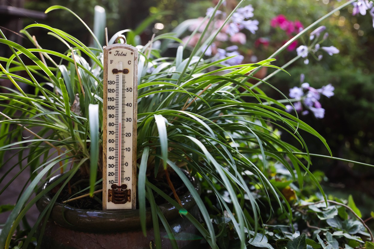 Gran Bretaña tendrá el día más caluroso de su historia. Las temperaturas alcanzarán los 42 grados centígrados el martes