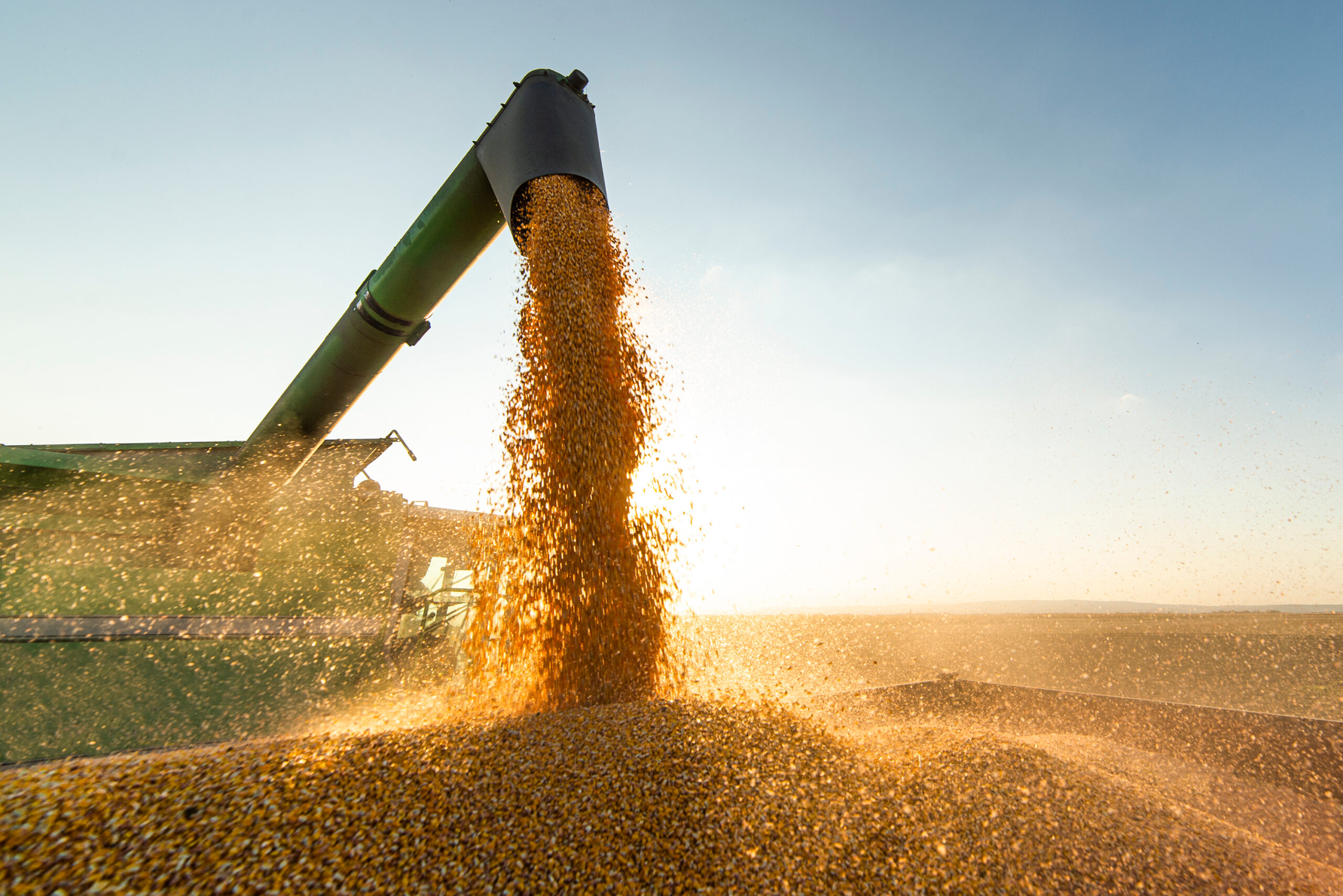 La UE reducirá las sanciones a los bancos rusos para aliviar la crisis alimentaria mundial La UE reducirá las sanciones a los bancos rusos para aliviar la crisis alimentaria mundial