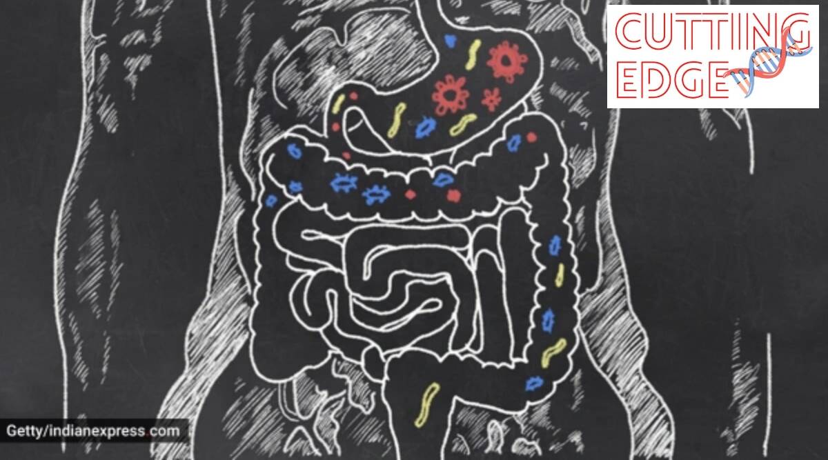 La terapia de la caca puede salvar su intestino y su vida La terapia de la caca puede salvar su intestino y su vida