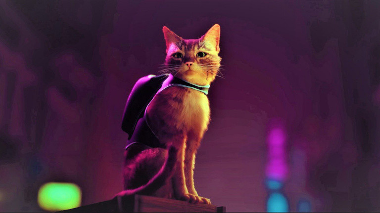 Noticias de juegos perdidos: ¡aquí están los tres simpáticos felinos que inspiraron al héroe de esta sorpresa indie para PS5 y PC! Noticias de juegos perdidos: ¡aquí están los tres simpáticos felinos que inspiraron al héroe de esta sorpresa indie para PS5 y PC!