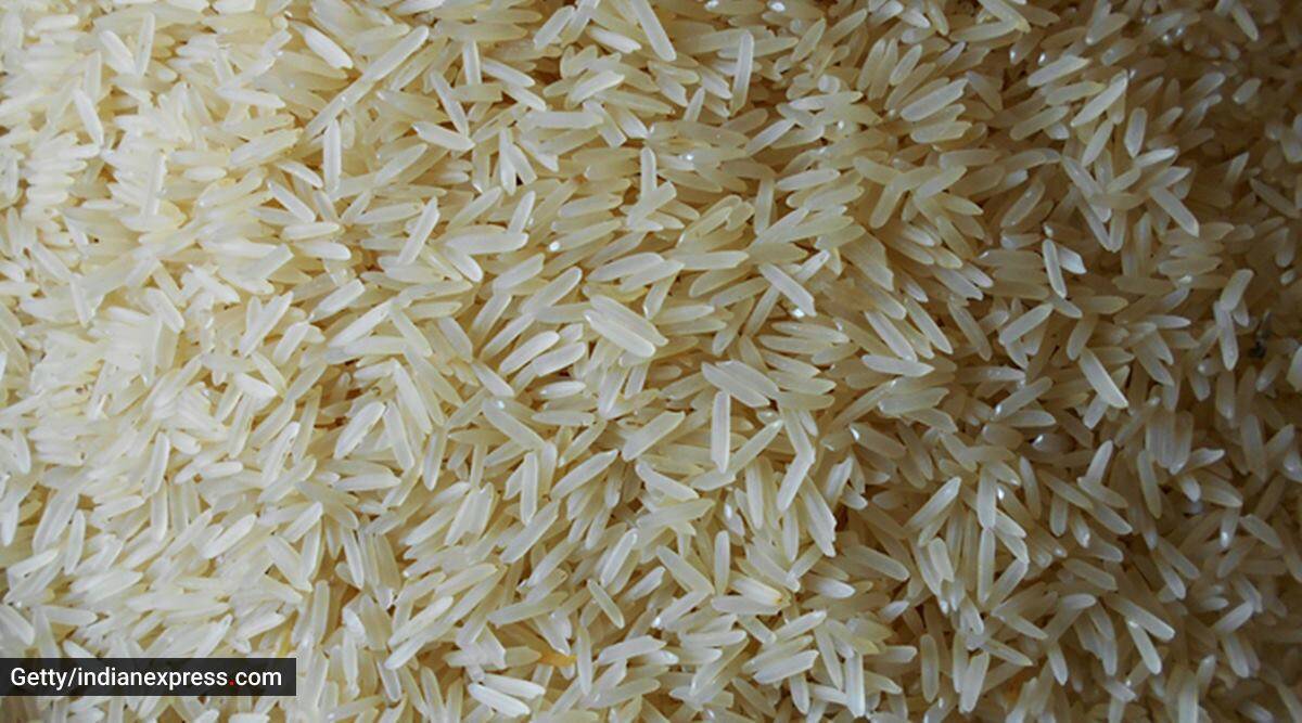 ¿Debes comer arroz si padeces SOP o diabetes? Descúbralo aquí