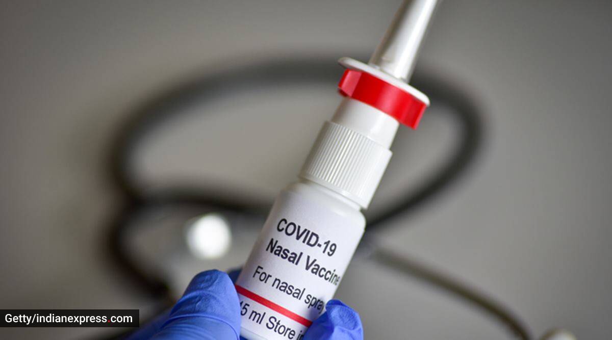 La India recibe la primera vacuna nasal COVID-19. Por qué podría reducir la infección y detener la transmisión