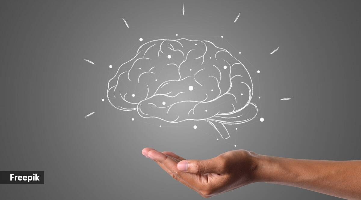¿Qué cambios de estilo de vida debería hacer para su salud cerebral? ¿Qué cambios de estilo de vida debería hacer para su salud cerebral?