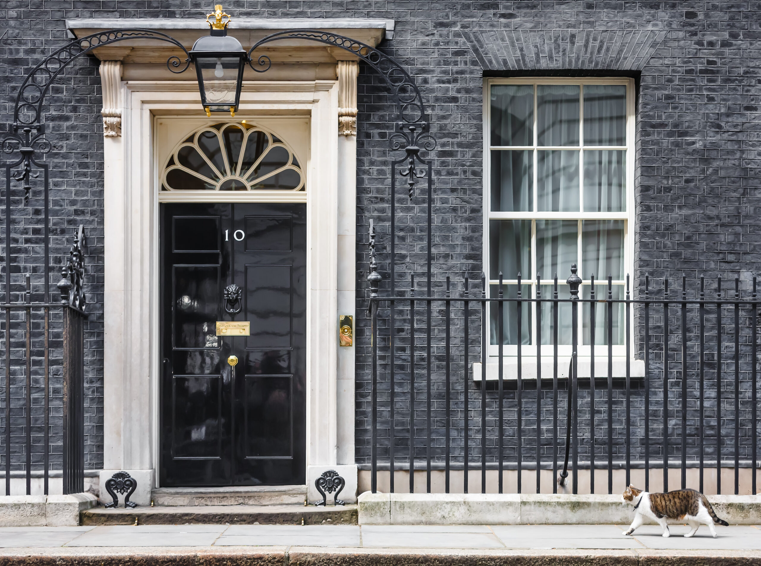 VÍDEO | El gato Larry ahuyentó a un zorro de la residencia del Primer Ministro británico. El enfrentamiento fue captado por las cámaras VÍDEO | El gato Larry ahuyentó a un zorro de la residencia del Primer Ministro británico. El enfrentamiento fue captado por las cámaras