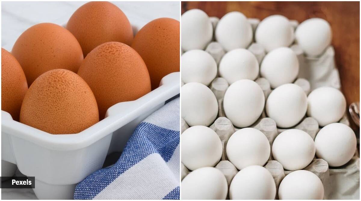 Huevo marrón o blanco: ¿Qué es más sano?