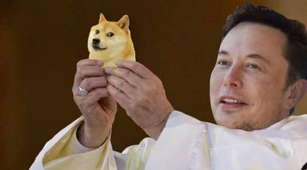 Dogecoin sube un 116% en 2 semanas, el rey de los memes supera a los principales criptoactivos.