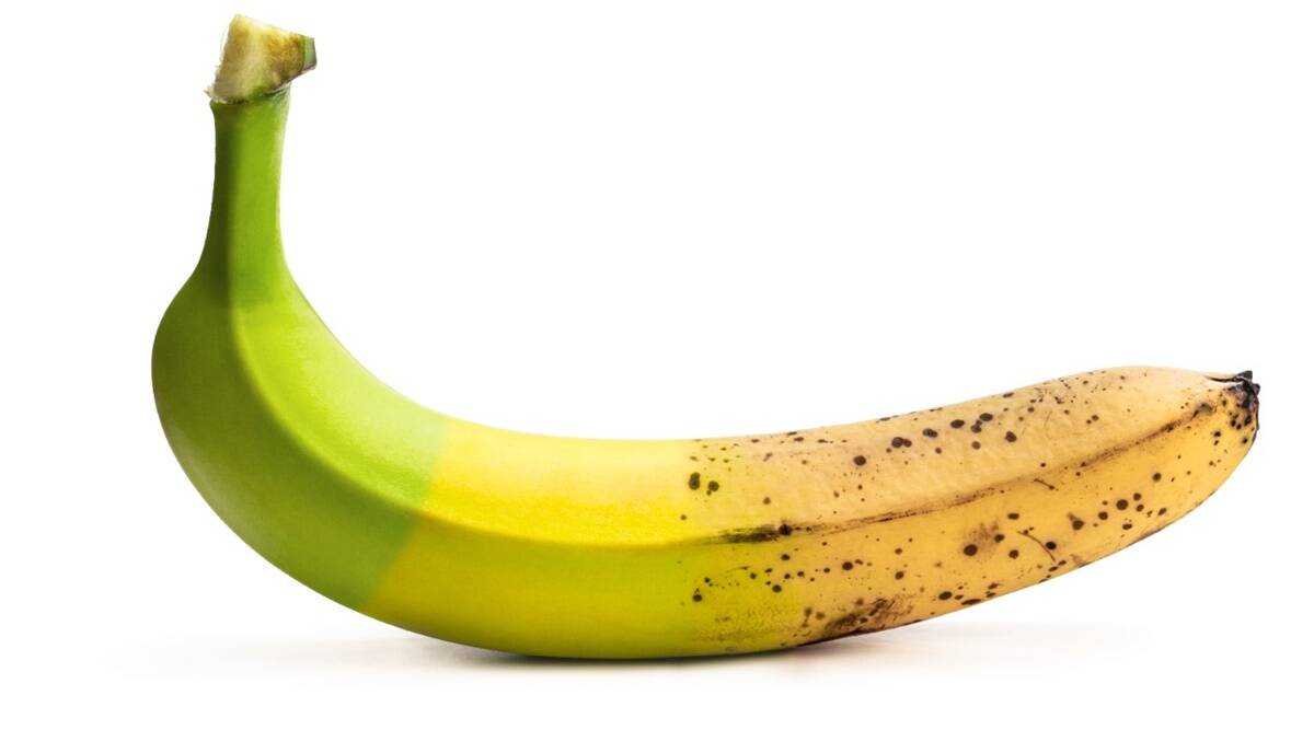 Por qué un plátano ligeramente inmaduro es mejor para desayunar que la fruta madura
