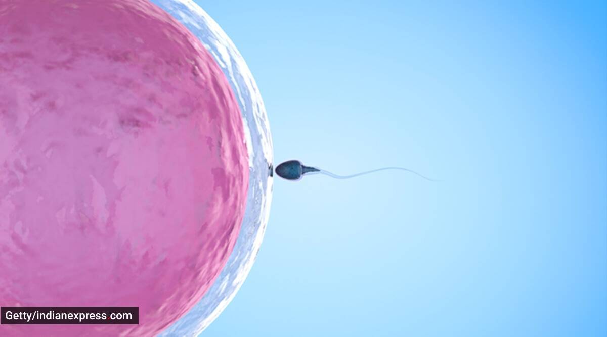 ¿La disminución del número de espermatozoides apunta a la infertilidad entre los jóvenes? ¿Qué significa para nuestro futuro?