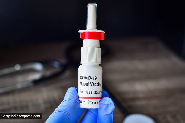 Covid-19, casos de Covid-19, aumento de Covid-19, vacuna Covid-19, vacunas Covid-19, dosis de refuerzo de Covid-19, dosis de precaución de Covid-19, vacuna intranasal Covid-19, vacuna nasal, spray nasal para Covid-19, noticias de indian express