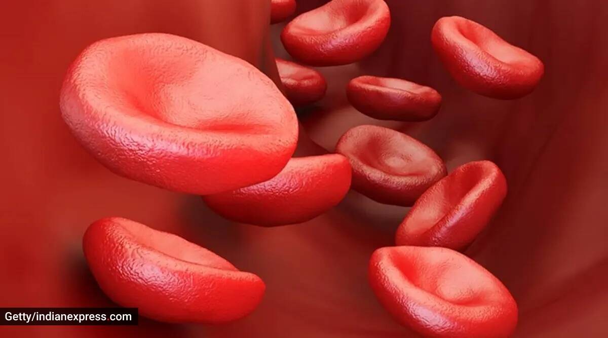 De crónico a agresivo, así puede progresar el cáncer de sangre en algunas personas: Estudio