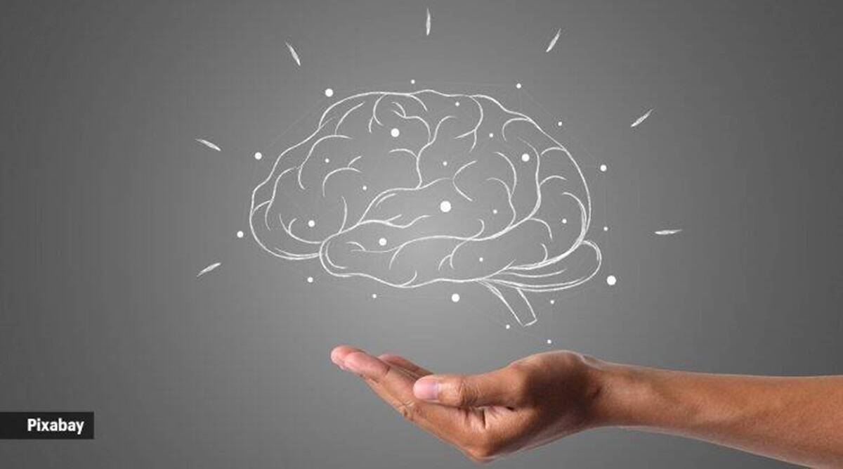 Delicias saludables para el cerebro recomendadas por expertos Delicias saludables para el cerebro recomendadas por expertos