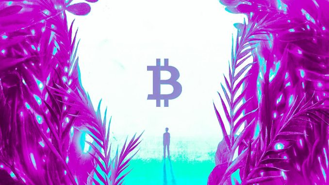 Las principales empresas de gestión de activos sufren pérdidas de 220.000.000 de dólares por las inversiones en minería de bitcoin (BTC): Informe Las principales empresas de gestión de activos sufren pérdidas de 220.000.000 de dólares por las inversiones en minería de bitcoin (BTC): Informe