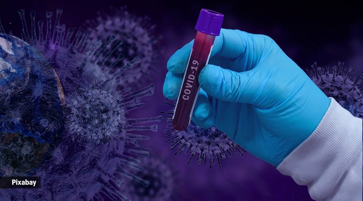 La inmunidad híbrida ofrece más protección contra el Covid grave que la infección por sí sola: Estudio La inmunidad híbrida ofrece más protección contra el Covid grave que la infección por sí sola: Estudio
