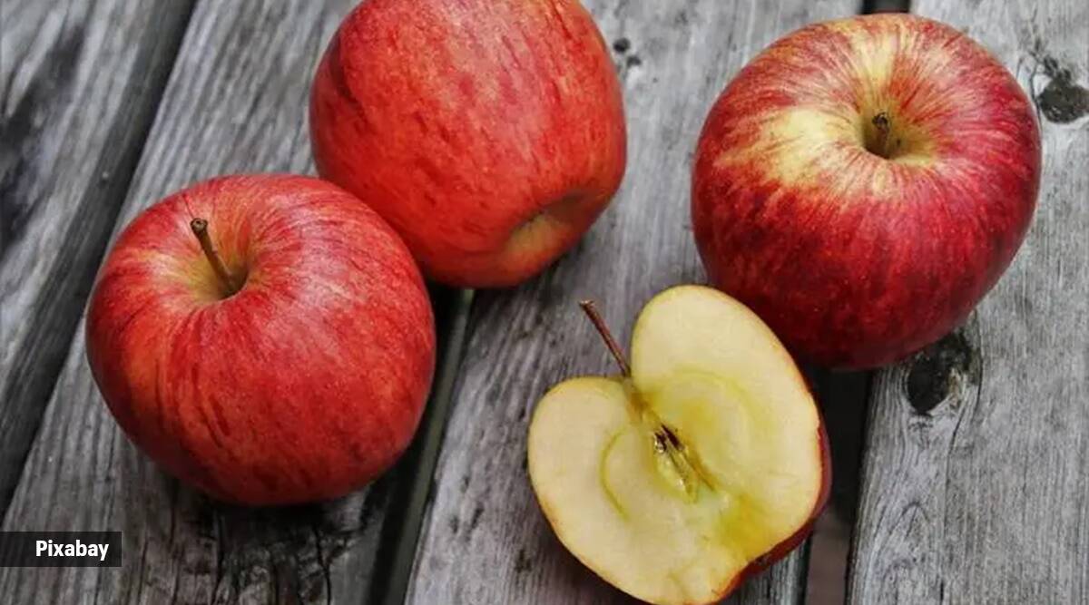 Lo que hemos aprendido hoy: Hay una «forma perfecta» de comerse una manzana.