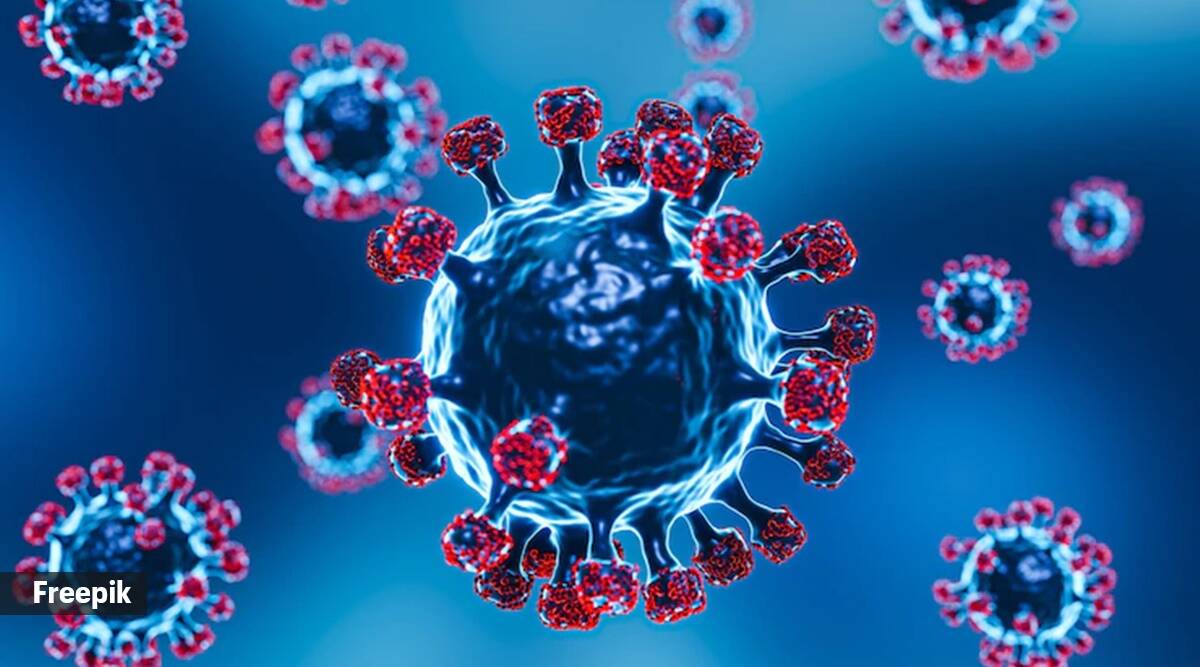 La infección natural reduce el riesgo de hospitalización o muerte en un 88% durante al menos 10 meses: Estudio de The Lancet La infección natural reduce el riesgo de hospitalización o muerte en un 88% durante al menos 10 meses: Estudio de The Lancet