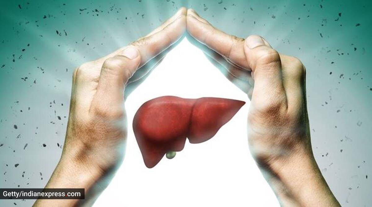 Día Mundial del Hígado: Pruebas esenciales que recomiendan los expertos para vigilar la salud de este importante órgano